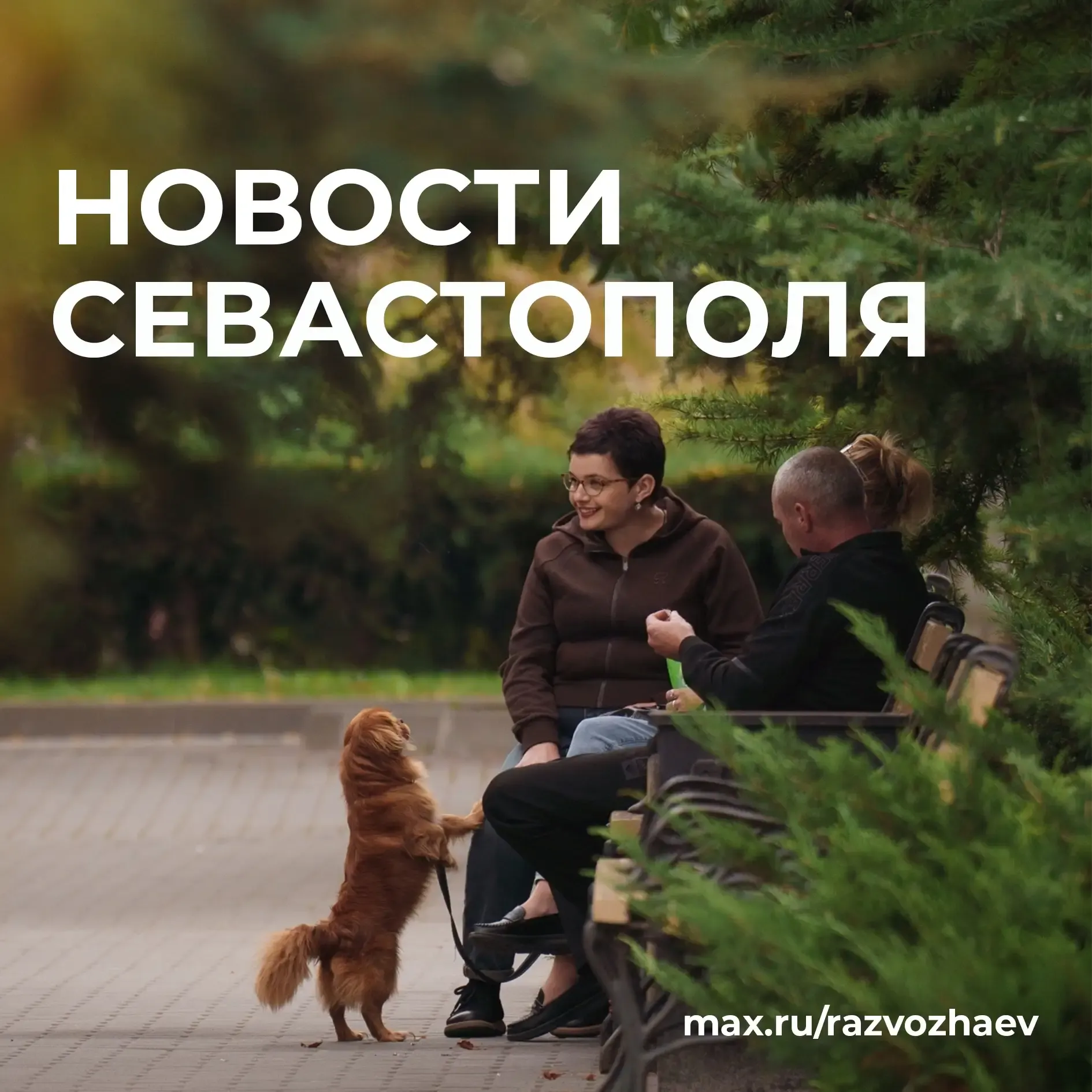 В Севастополе вернут остановку на Красной Горке и синхронизируют автобусы