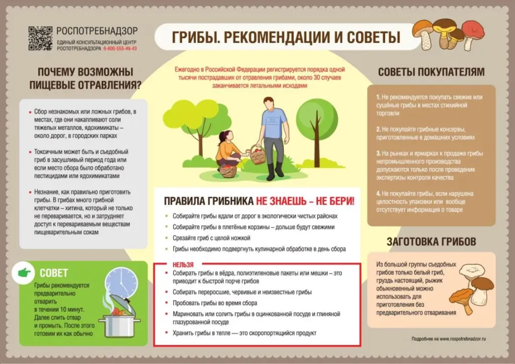 Роспотребнадзор напомнил о профилактике отравлений грибами