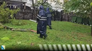Около 300 коммунальщиков устраняют последствия непогоды в Крыму