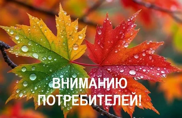 В Крыму скорректировали графики плановых отключений света