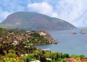 В Крыму зафиксировали 12 случаев падения столбов и деревьев
